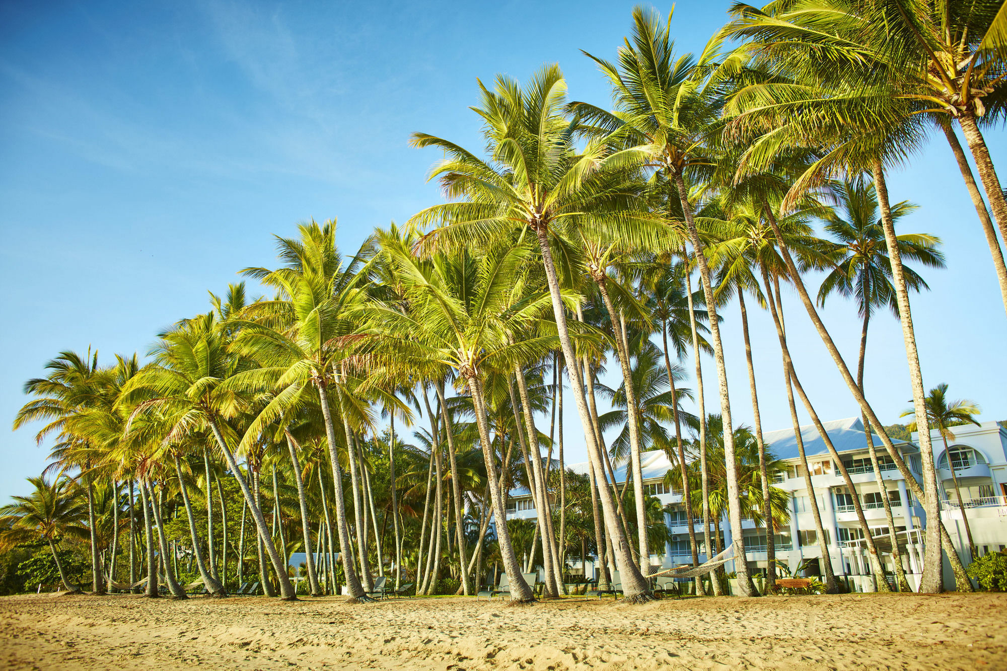 Alamanda Palm Cove By Lancemore Zewnętrze zdjęcie